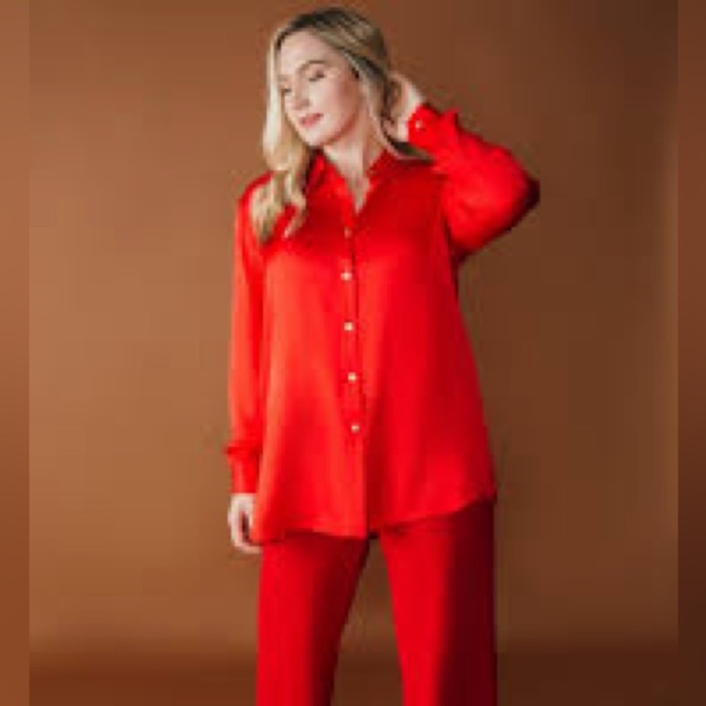 NWT Chloe Kristyn Erin Button Down Top with Tie Belt - Picture 5 of 13